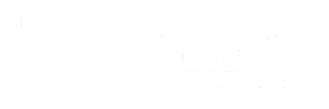 logo v blanco