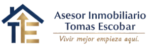 logo v