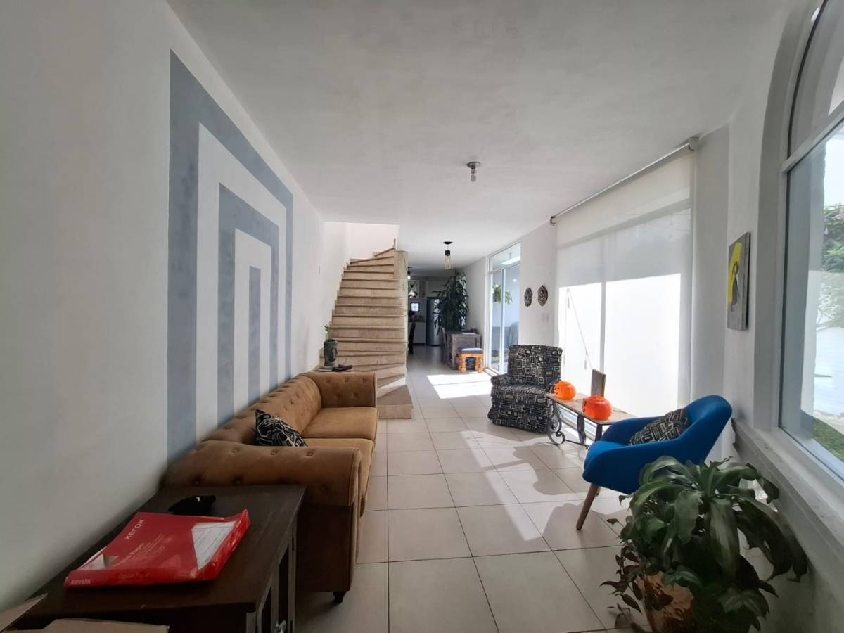 594091-cholula-1_p003_008