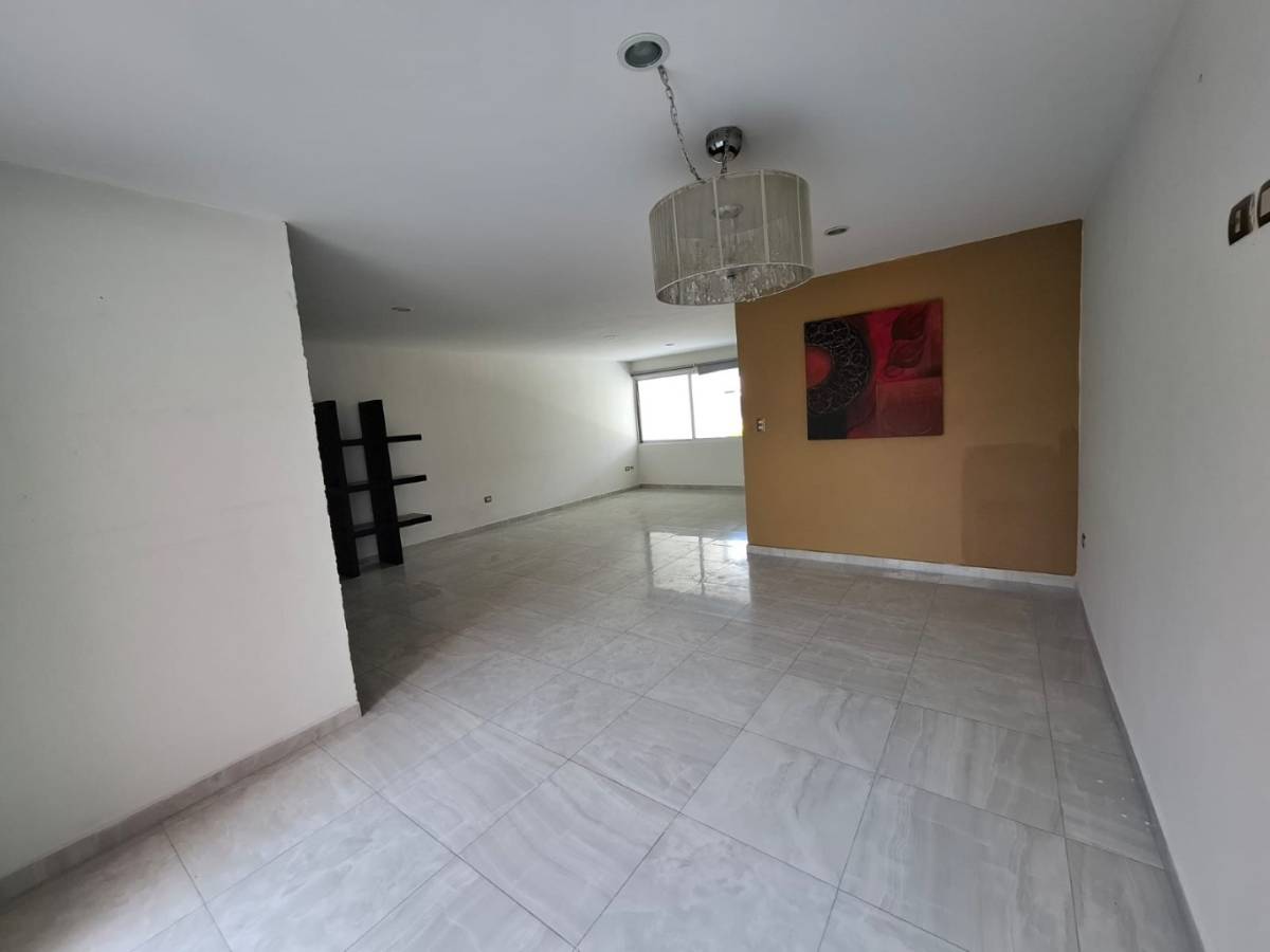 594948-zona-cementos-atoyac-3_p003_005